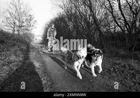 Jenny Handford e gli huskies che tirano la sua slitta senza neve 16 gennaio 1991 foto di Roger Bamber Foto Stock