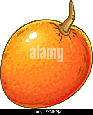 Illustrazione dettagliata colorata dei frutti di mango. Illustrazione Vettoriale