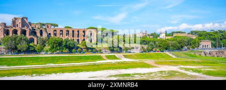 Una vista delle rovine della Domus Severiana sul Palatino dal Circo massimo a Roma, Italia. L'antico palazzo romano è visibile in lontananza, con un'area erbosa in primo piano. Foto Stock