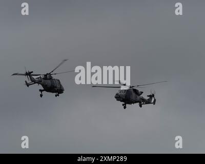 Il Black Cats Helicopter display Team della Royal Navy esegue un'esposizione a due navi sui loro elicotteri Wildcat HMA.2 durante il RIAT 2024, tenutosi alla RAF Fairford. Foto Stock