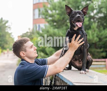 Uomo caucasico che cammina con un cane pitbull terrier. Foto Stock