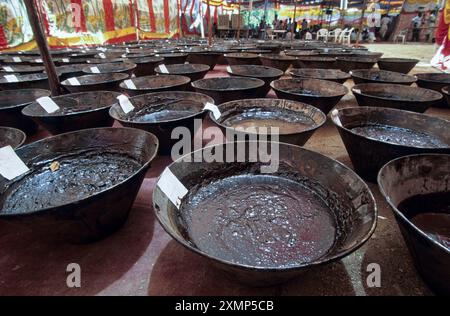 INDIA, Rajasthan, Commercial licit oppio Farming for Pharma Industry for processing of morphin for pain killer Drugs , Registered Poppy seed Farming vende oppio fresco raccolto alla BCN Narcotics Control Bureau, nave con succo della pianta di papavero da oppio, la materia prima che sarà trasformata nello stabilimento governativo di alcaloidi Foto Stock