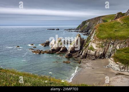 La costa rocciosa di Westcombe Beach nel Devon meridionale, Regno Unito Foto Stock
