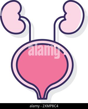 Sistema urinario Illustrazione Vettoriale