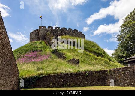 Castello di Totnes nel Devon, Inghilterra, Regno Unito, uno degli esempi meglio conservati di fossato normanno e castello bailey nel Regno Unito Foto Stock