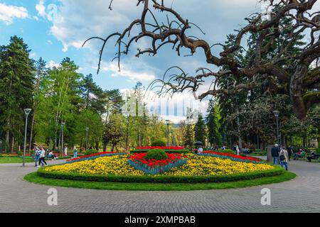 Parco nella spa, Vrnjacka Banja - Serbia Foto Stock