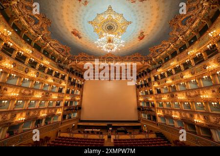 Teatro la Fenice interno del teatro dell'opera nella città di Venezia, Italia. Magnifici interni decorati in stile rococò con auditorium, palco e soffitto con vernice Foto Stock