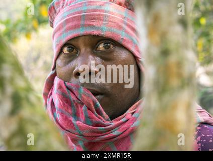 Apicoltore che va a raccogliere il miele nelle mangrovie, divisione Khulna, Shyamnagar, Bangladesh Foto Stock