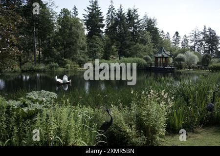 Scultura di Magnolia di Rebecca Newnham che galleggia sul lago magnolia con la Pagoda Ting sullo sfondo presso il Giardino e il Parco delle sculture dell'Himalaya Foto Stock