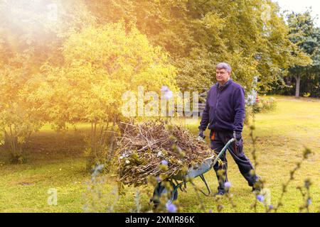 Giardinaggio autunnale, potatura del giardino, preparazione del giardino per l'inverno. Uomo felice che potava piante e rami di ruote in una carriola. Foto Stock