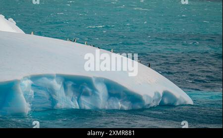 I pinguini cavalcano Iceberg in Antartide. Wildlife Nature Colony High Quality vibrante Ice Floating on Turquoise Seas Blue Water Climate Change Chinstraps Foto Stock