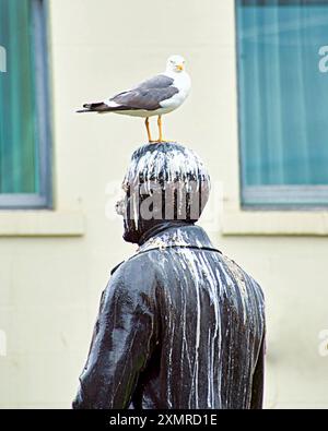 Glasgow, Scozia, Regno Unito. Dal 29 luglio 2024: La situazione delle statue di George Square, che sono destinate allo stoccaggio mentre l'area subisce un massiccio rinnovamento. Le sculture in bronzo soffrono delle attenzioni dei gabbiani locali, pochi dei quali hanno l'iconico cono simbiolo della città per proteggerli. Robert Peel, creatore della polizia, non ha rispetto. Chiaramente richiederanno il ripristino quando saranno rappresentati nel 2025. Credit Gerard Ferry/Alamy Live News Foto Stock