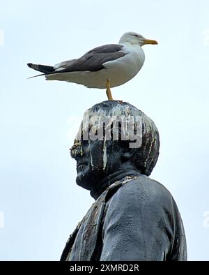 Glasgow, Scozia, Regno Unito. Dal 29 luglio 2024: La situazione delle statue di George Square, che sono destinate allo stoccaggio mentre l'area subisce un massiccio rinnovamento. Le sculture in bronzo soffrono delle attenzioni dei gabbiani locali, pochi dei quali hanno l'iconico cono simbiolo della città per proteggerli. Robert Peel, creatore della polizia, non ha rispetto. Chiaramente richiederanno il ripristino quando saranno rappresentati nel 2025. Credit Gerard Ferry/Alamy Live News Foto Stock