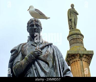 Glasgow, Scozia, Regno Unito. Dal 29 luglio 2024: La situazione delle statue di George Square, che sono destinate allo stoccaggio mentre l'area subisce un massiccio rinnovamento. Le sculture in bronzo soffrono delle attenzioni dei gabbiani locali, pochi dei quali hanno l'iconico cono simbiolo della città per proteggerli. Sir John Moore eroico soldato napoleonico. Chiaramente richiederanno il ripristino quando saranno rappresentati nel 2025. Credit Gerard Ferry/Alamy Live News Foto Stock