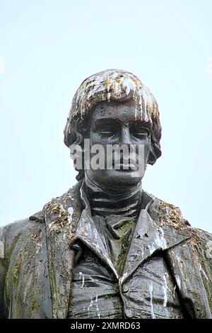 Glasgow, Scozia, Regno Unito. Dal 29 luglio 2024: La situazione delle statue di George Square, che sono destinate allo stoccaggio mentre l'area subisce un massiccio rinnovamento. Le sculture in bronzo soffrono delle attenzioni dei gabbiani locali, pochi dei quali hanno l'iconico cono simbiolo della città per proteggerli. Persino Robert Burns non ha rispetto per gli uccelli. Chiaramente richiederanno il ripristino quando saranno rappresentati nel 2025. Credit Gerard Ferry/Alamy Live News Foto Stock