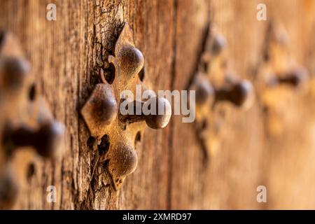 Dettagli in metallo forgiato con sfera di una vecchia porta in legno vista in prospettiva con luce soffusa Foto Stock