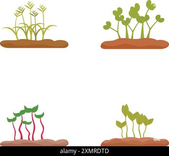Set di quattro icone vettoriali piatte che illustrano le diverse fasi della crescita delle piante, dalle piantine alle piante giovani Illustrazione Vettoriale