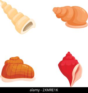 Quattro illustrazioni vettoriali di conchiglie assortite isolate su sfondo bianco Illustrazione Vettoriale