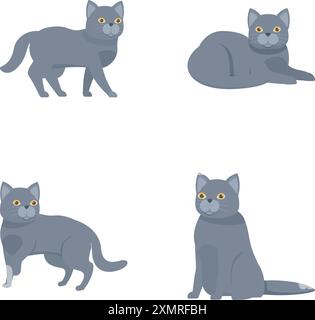 Adorabile collezione di gatti grigi cartoni animati con pose carine e comportamenti giocosi. Perfetto per gli amanti dei felini e degli animali domestici. Serie di illustrazioni vettoriali di animali domestici Illustrazione Vettoriale