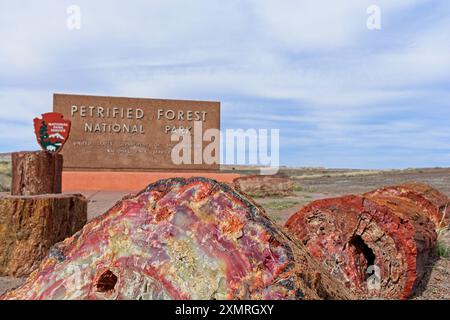 Primo piano di tronchi di legno pietrificato segmentato prima del cartello d'ingresso del monumento al Petrified Forest National Park fuori Holbrook, Arizona - aprile 2024 Foto Stock