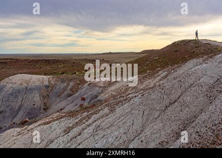 Turista in cima alla formazione di calanchi erosi sotto il cielo lunare del tardo pomeriggio al Petrified Forest National Park Foto Stock