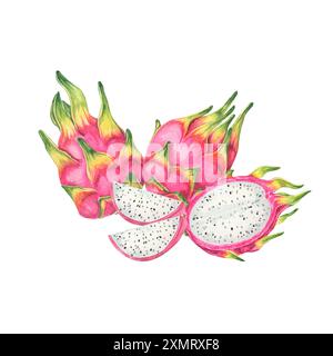 Pitaya acquerello clipart con tre frutti di drago rosa, due interi e uno tagliati aperti, evidenziando la polpa bianca con semi neri. Ideale per imballaggi alimentari, poster didattici e stampe botaniche Foto Stock