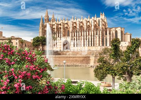 La Seu Cathedral in Palma de Mallorca Foto Stock