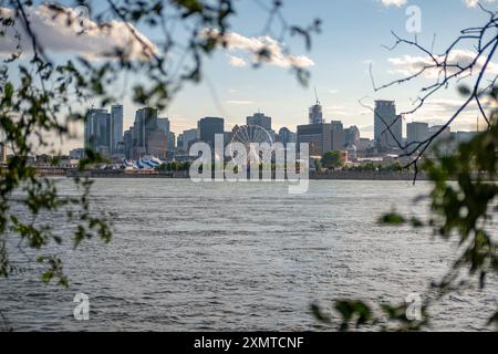 Vista incorniciata dal fogliame del centro di Montreal da St. Helen's Island. Preso in una soleggiata giornata estiva senza gente Foto Stock