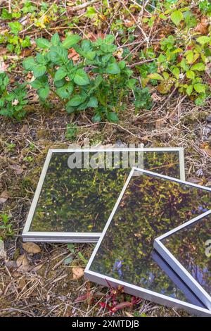 Vecchia tecnologia a energia solare - pannelli solari ASI (Amorphous Silicon) Schott RWE 12 v 5 w. in giardino. Utilizzo di energia solare per un'irrigazione ecocompatibile. Vedere Note. Foto Stock