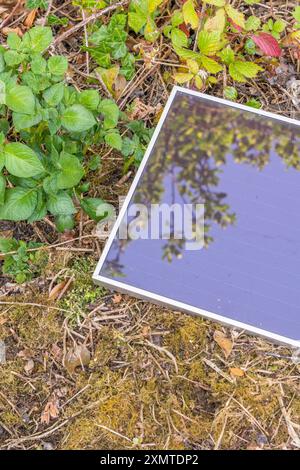 Vecchia tecnologia a energia solare - pannello solare ASI (Amorphous Silicon) Schott RWE 12 v 5 w. in giardino. Utilizzo di energia solare per un'irrigazione ecocompatibile. Vedere Note. Foto Stock