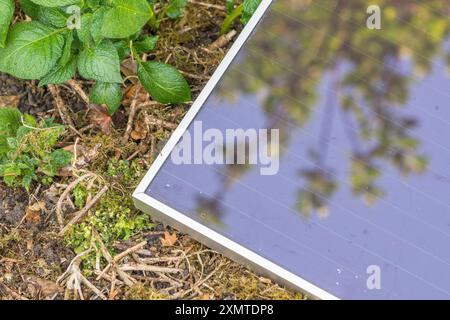 Vecchia tecnologia a energia solare - pannello solare ASI (Amorphous Silicon) Schott RWE 12 v 5 w. in giardino. Utilizzo di energia solare per un'irrigazione ecocompatibile. Vedere Note. Foto Stock