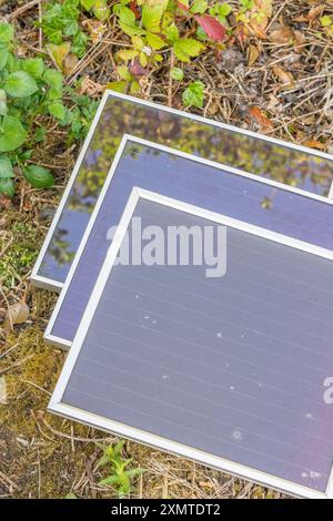 Vecchia tecnologia a energia solare - pannelli solari ASI (Amorphous Silicon) Schott RWE 12 v 5 w. in giardino. Utilizzo di energia solare per un'irrigazione ecocompatibile. Vedere Note. Foto Stock