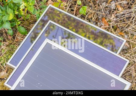 Vecchia tecnologia a energia solare - pannelli solari ASI (Amorphous Silicon) Schott RWE 12 v 5 w. in giardino. Utilizzo di energia solare per un'irrigazione ecocompatibile. Vedere Note. Foto Stock