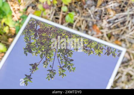 Vecchia tecnologia a energia solare - pannello solare ASI (Amorphous Silicon) Schott RWE 12 v 5 w. in giardino. Utilizzo di energia solare per un'irrigazione ecocompatibile. Vedere Note. Foto Stock