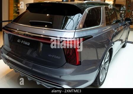 silver Hongqi e-HS9 SUV elettrico full-size di lusso, vista posteriore del marchio cinese Hongqi in Studio, trasporto a emissioni zero, innovazione per auto elettriche, p. Foto Stock