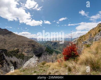 Le vedute del monte Ben Lomond comprendono Queenstown, il lago Whakatipu e le catene circostanti, nuova Zelanda Foto Stock