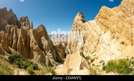 Omarama Clay Cliffs: Paesaggio unico e suggestivo con torreggianti pinnacoli ripidi, profonde gole e creste taglienti formate dall'erosione naturale, Waitaki V. Foto Stock