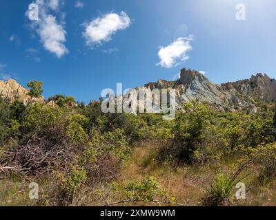 Omarama Clay Cliffs: Paesaggio unico e suggestivo con torreggianti pinnacoli ripidi, profonde gole e creste taglienti formate dall'erosione naturale, Waitaki V. Foto Stock