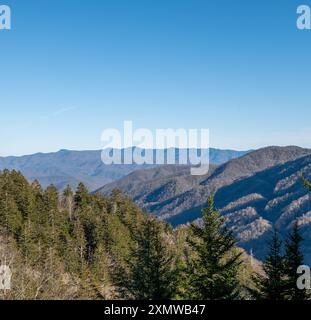 Splendida vista sulle Smokey Mountains in lontananza e sugli alberi sempreverdi nelle vicinanze, nel tardo inverno. Foto Stock