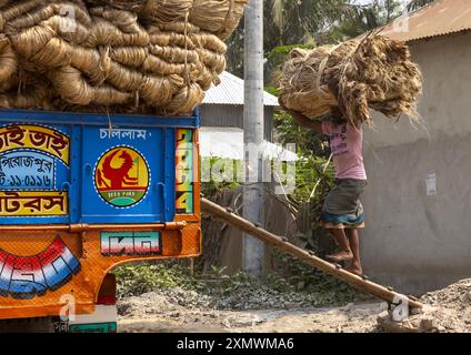 Uomo del Bangladesh che carica burlap su un camion, Divisione di Dhaka, Nagarpur, Bangladesh Foto Stock