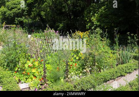 Terreno vegetale misto con fiori e circondato da bassa siepe di Boxwood, Franconia, Germania Foto Stock