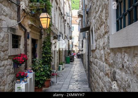 Dubrovnik, Croazia - 5 ottobre 2019: Un tranquillo vicolo adornato di verde e attività commerciali locali invita all'esplorazione. Foto Stock