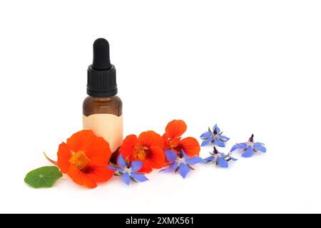 Borragine e nasturtium erbe aromatiche erbe aromatiche erbe medicinali con bottiglia di olio essenziale marrone su bianco. Utilizzato in vari rimedi medicinali . Foto Stock