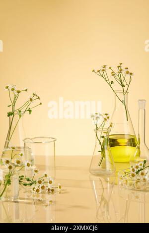Camomilla e concetto di laboratorio su sfondo minimo con un gruppo di vetreria da laboratorio, vetro trasparente, erlenmeyer con fluido giallo. Camomilla Extra Foto Stock