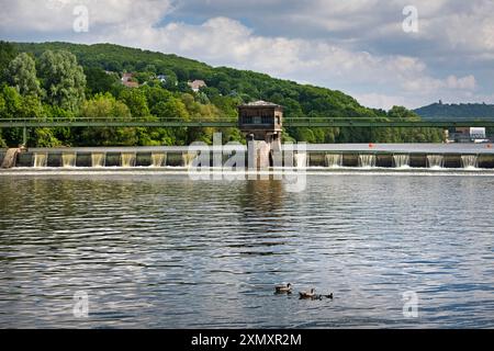 Oca egiziana (Alopochen aegyptiacus), famiglia di oca del Nilo presso la centrale elettrica di Stiftsmuehle, Germania, Renania settentrionale-Vestfalia, Foto Stock