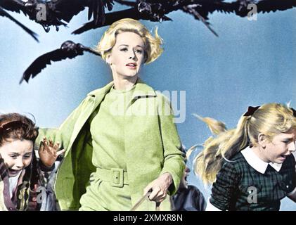 THE BIRDS 1963 Universal Pictures film con Tippi Hedren nel ruolo di Melanie Daniels Foto Stock