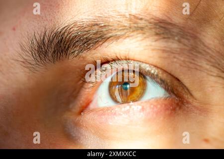 Una foto macro che cattura gli intricati dettagli dell'occhio marrone-nocciola di un uomo, mostrando i suoi colori vibranti, la sua consistenza e la sua bellezza naturale. Foto Stock