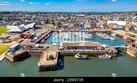 Arbroath Angus Scotland, l'area del porto con maree nel porto interno estivo o centro visitatori del porticciolo e edificio RNLI Foto Stock