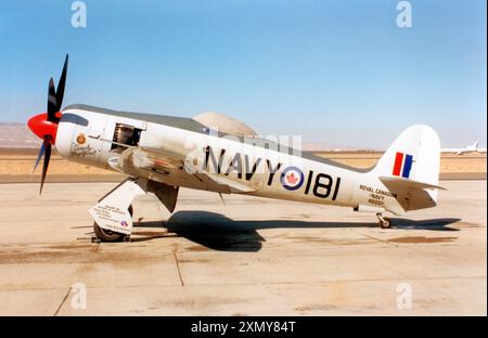 Hawker Sea Fury FB.11 N60SF Foto Stock