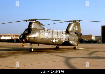 Boeing-Vertol CH-46D Sea Knight 154033 Foto Stock